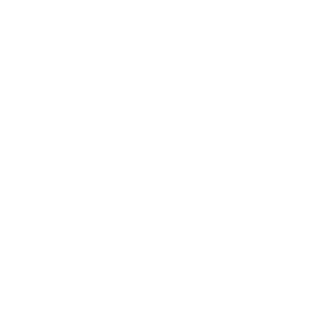 Microsoft Partners Logo