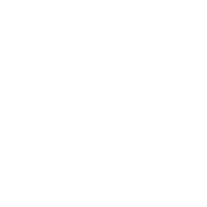 Canon-Gold-Partner